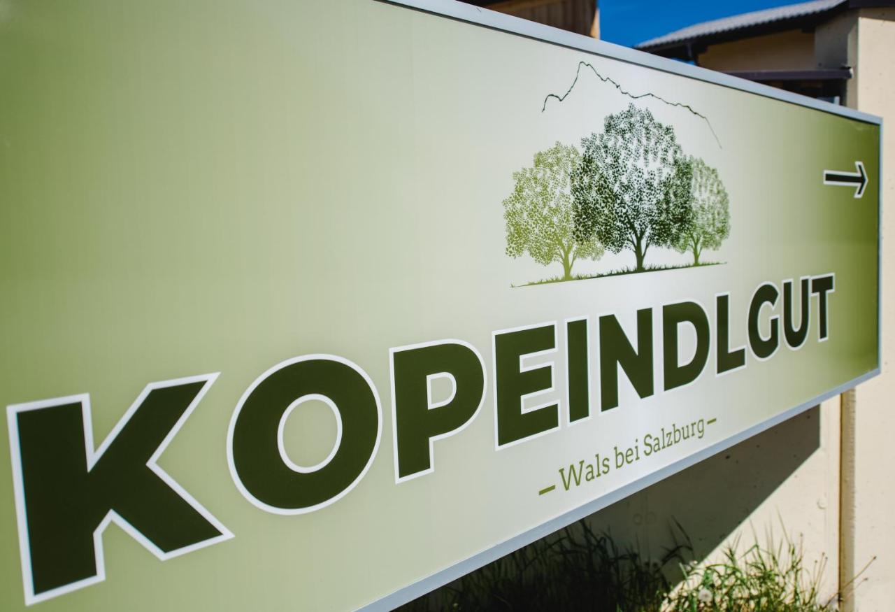 Kopeindlgut Apartments Wals-Siezenheim Εξωτερικό φωτογραφία